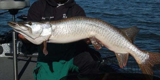 muskie fishing in canada