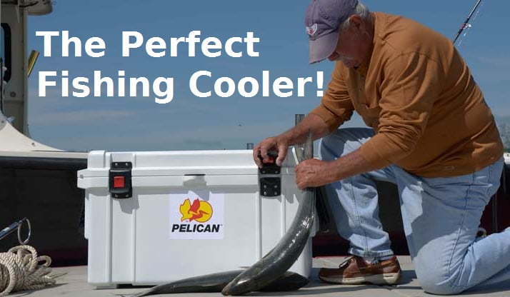 pelican coolers